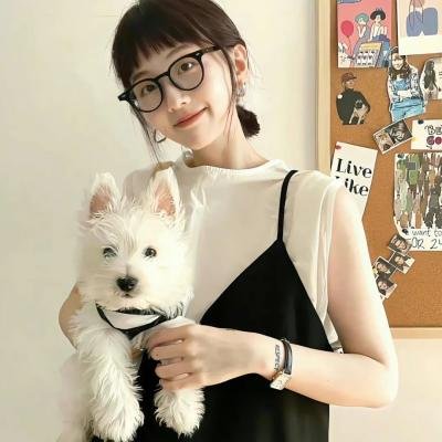 暴力启示录